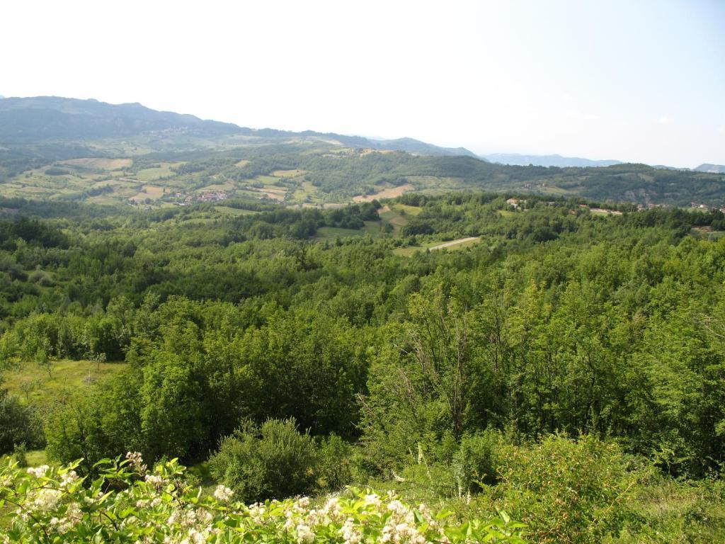 Casa Vicino Cantalupo Ligure Esterno foto